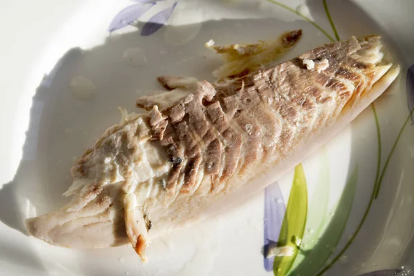 Unseasoned steamed snapper fillet — Stock Photo, Image