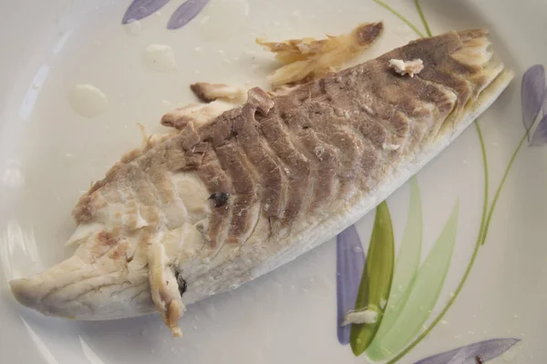 Steamed and unseasoned snapper fillet — Stock Photo, Image