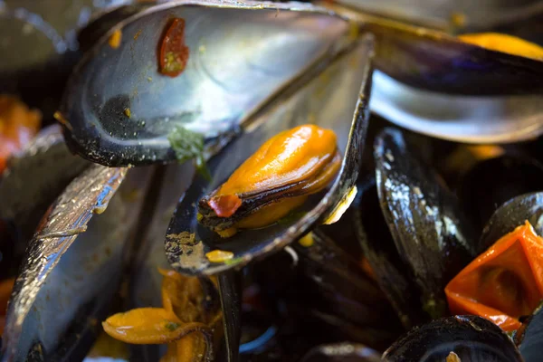 Detail of a mussel in a impepata  of cozze — Stock Photo, Image