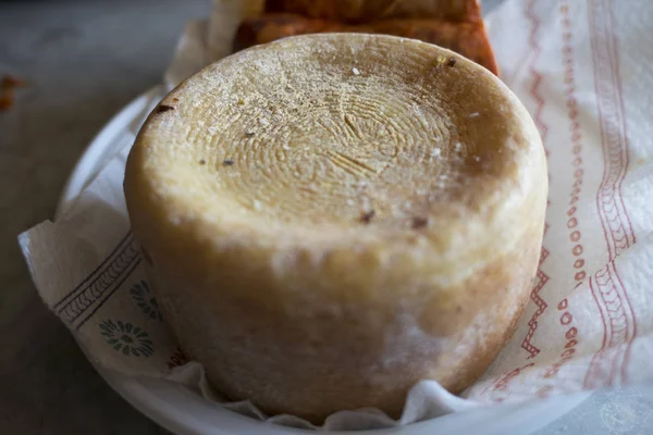 Whole sardinian pecorino cheese — Stock Photo, Image