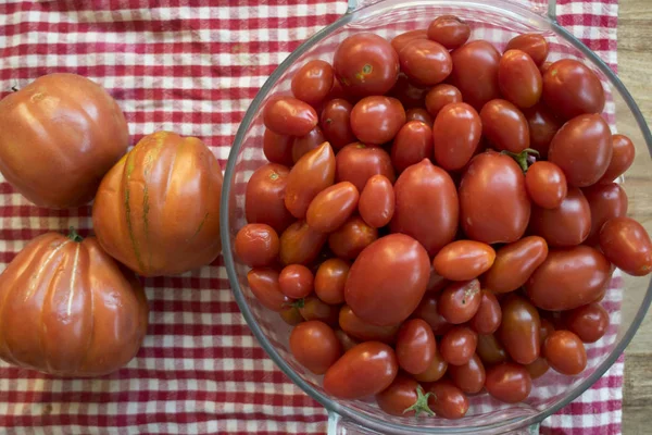 トマトの種の様々 な — ストック写真