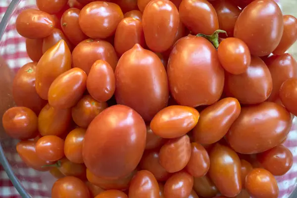 Variedade de tipo de tomates — Fotografia de Stock