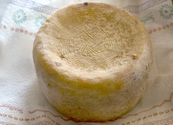 Fromage pecorino toscan — Photo