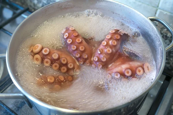 Matlagning färsk bläckfisk Royaltyfria Stockfoton