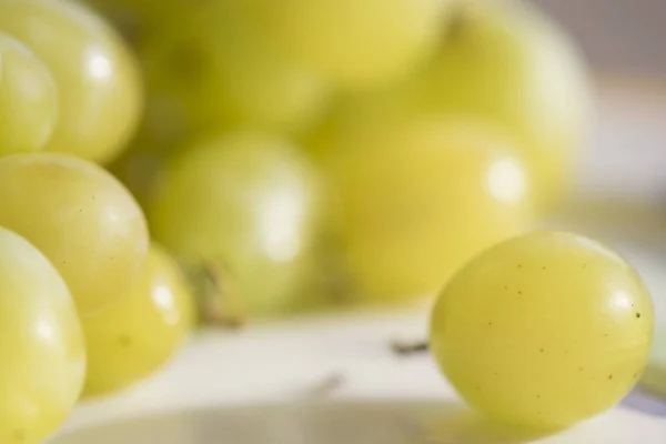 Зерно белого столового винограда — стоковое фото