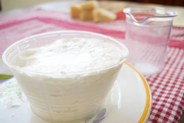 Schapen s melk ricotta in plastic mal — Stockfoto