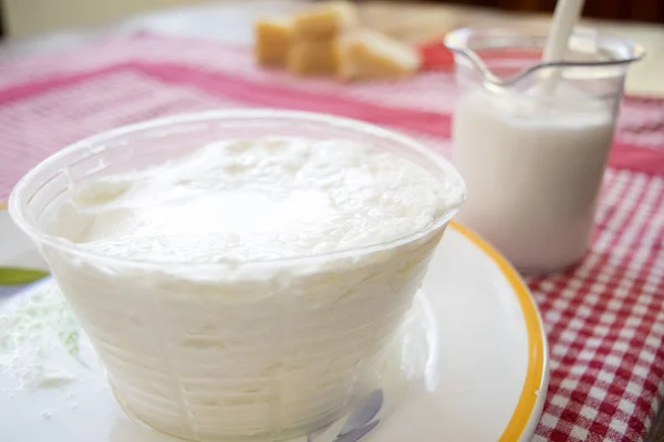 Får s mjölk ricotta i plast mögel — Stockfoto