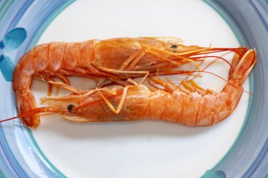 Kral karidesler bir tabakta çözüldü.