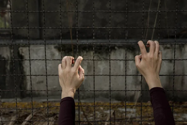 希望のフェンスの上を持っている手 — ストック写真