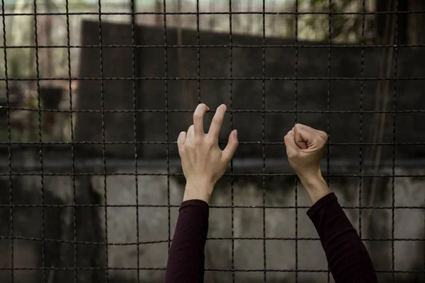 stock image Hand holding on fence