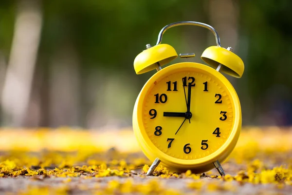 Feche Relógio Alarme Amarelo Colocado Flores Amarelas Caindo Com Luz — Fotografia de Stock