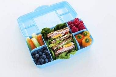 Sağlıklı yemek en iyi manzaralı mavi luchbox