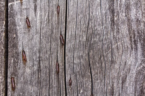 Textuur van oud hout, Vintage, achtergrond — Stockfoto