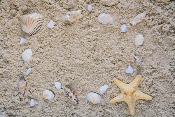 Hölzerner blauer Hintergrund im Marine-Stil — Stockfoto