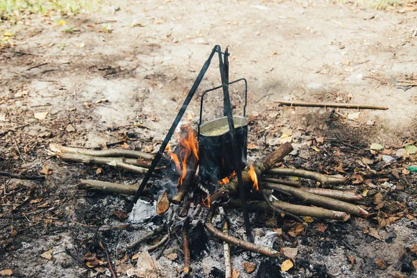 A sopa de cogumelos no fogo — Fotografia de Stock