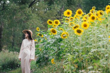 Ayçiçeği tarlası üzerinde şapkalı genç kız