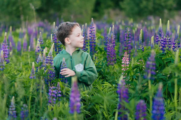 Ritratto di un ragazzo in un campo estivo di lupino — Foto Stock