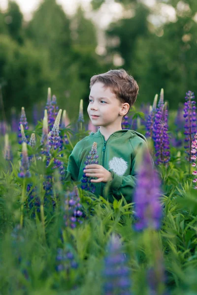 Ritratto di un ragazzo in un campo estivo di lupino — Foto Stock