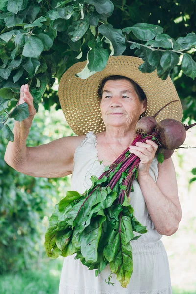 一顶帽子，拿着甜菜的老年妇女的肖像 — 图库照片