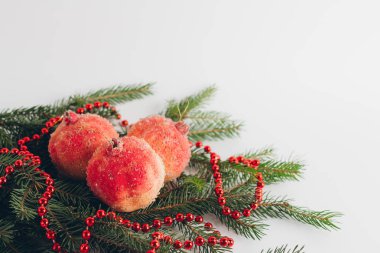 Grenades red balls on fir branches on a white background clipart
