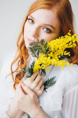 Uzun beyaz elbiseli bir Mimosa 'lı kızıl saçlı güzel bir kızın portresi. Bahar konseri. Tonlama.