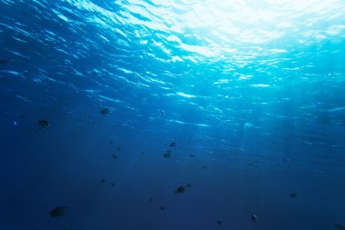 deniz altındaki mavi su dalgası splash arka plan