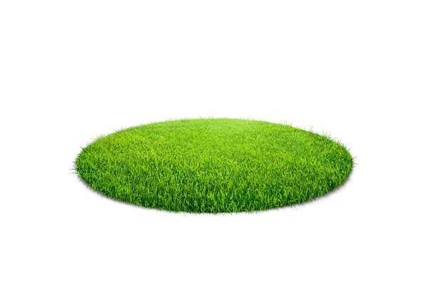 Círculo de hierba aislado sobre fondo blanco —  Fotos de Stock