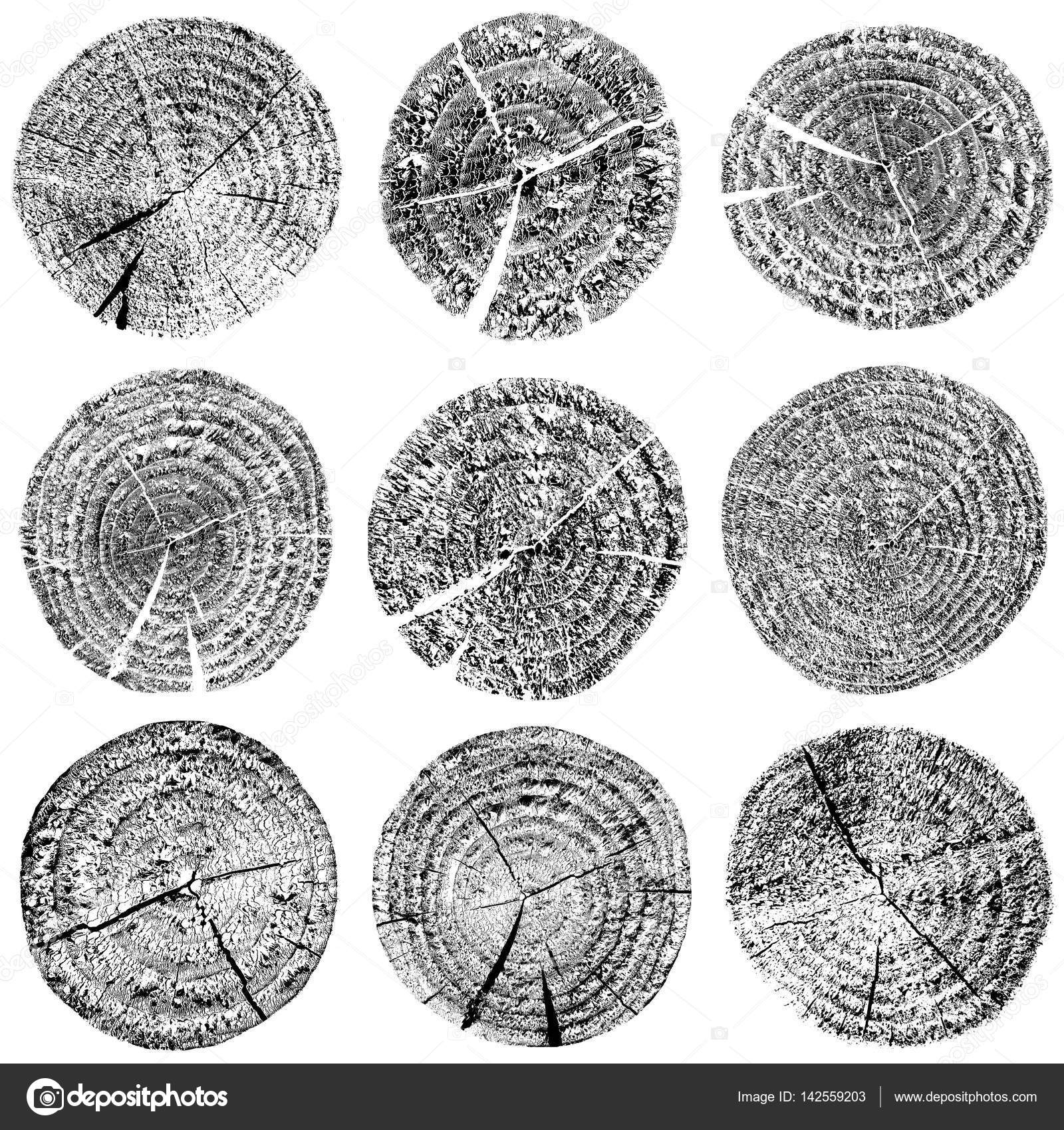 Set of wood rings stamp in black and white Stock Illustration by