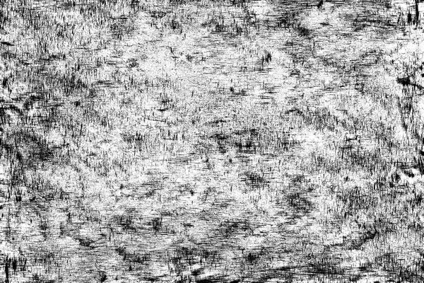 Old grunge texture background in black and white — Stock Photo, Image