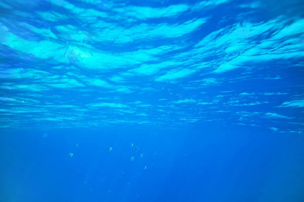 Vue sous-marine sur mer. Beauté nature arrière-plan — Photo