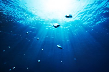 Deniz sualtı görünüm güneş ışığı ile. Güzellik doğa arka plan