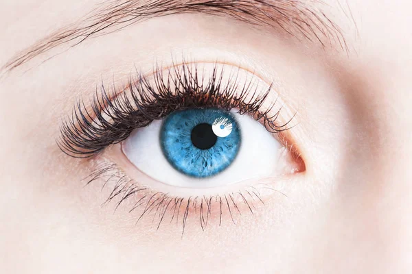 Close up image of human eye — Stock Photo, Image