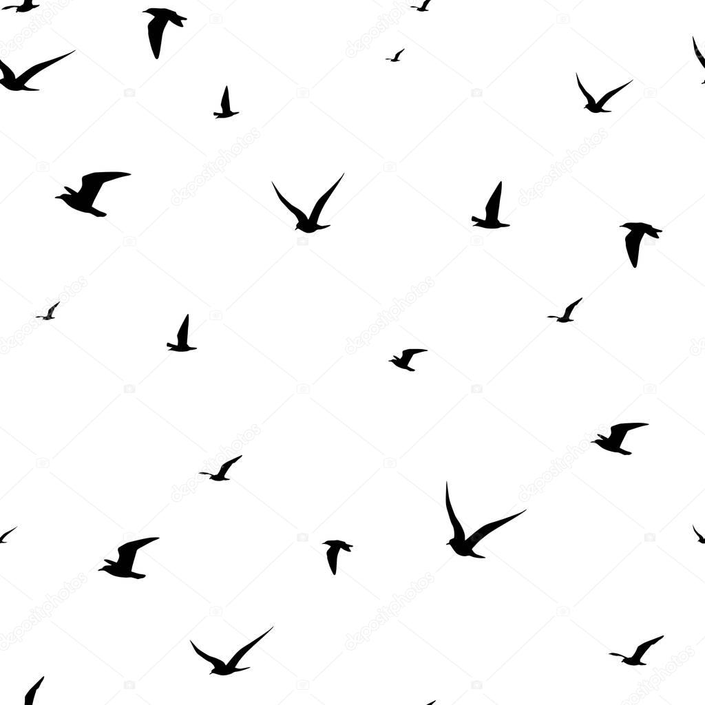 Seagull silhouette seamless pattern background