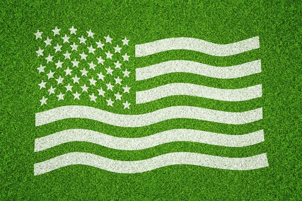 USA flag painted over grass background — Stock Photo, Image