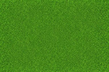 Yeşil çimen doğal arka plan. Üst görünüm