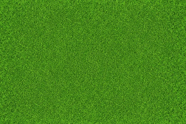 緑の草の自然な背景。トップ表示 — ストック写真