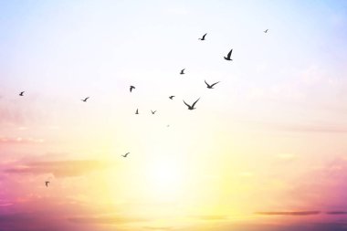 bulutlar ve martı yapısı ile mavi gökyüzü