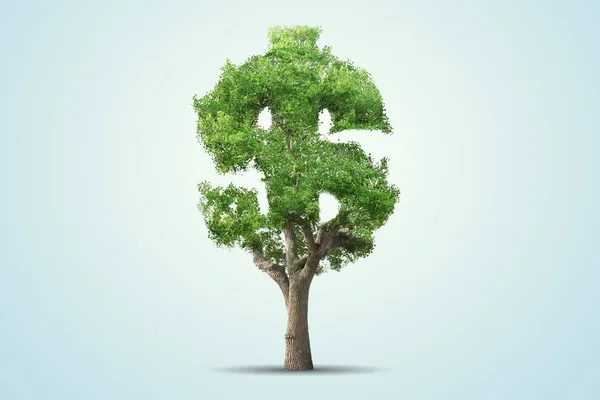 Zelený strom ve tvaru v na modrém pozadí, samostatný znak dolaru — Stock fotografie