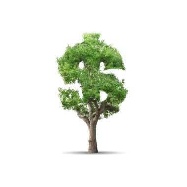 Yeşil ağaç dolar beyaz arka plan üzerinde izole işareti şeklinde