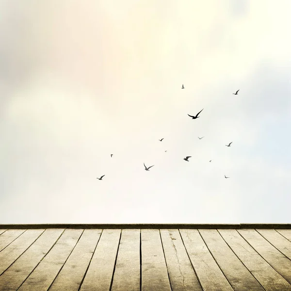 Hermoso cielo con nubes y silueta de gaviota —  Fotos de Stock