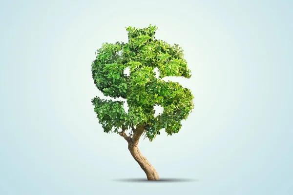 Green tree shaped in dollar sign isolated on blue background — Stock Photo, Image