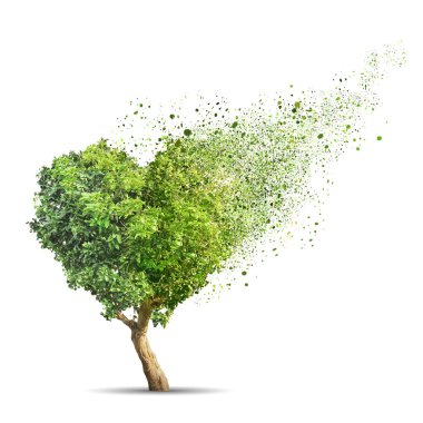 Kalp şeklinde yeşil ağaç izole beyaz arka plan üzerinde parçalanır