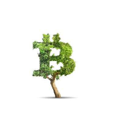 Yeşil ağaç beyaz arka plan üzerinde izole bitcoin işareti şeklinde