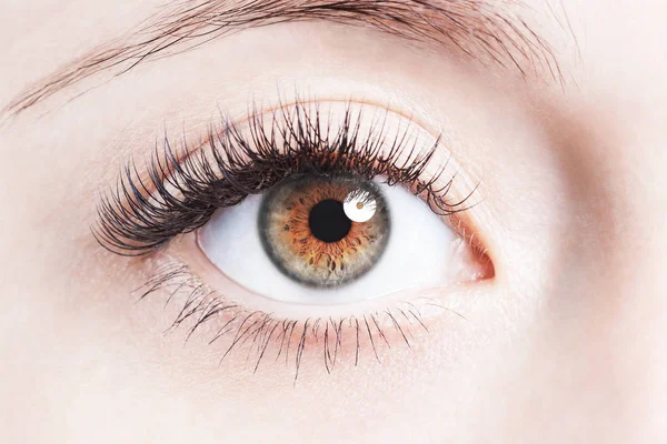 Close up image of human brown eye — Stock Photo, Image