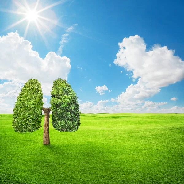 Grüner Baum in der Form menschlicher Lungen. Konzeptbild — Stockfoto
