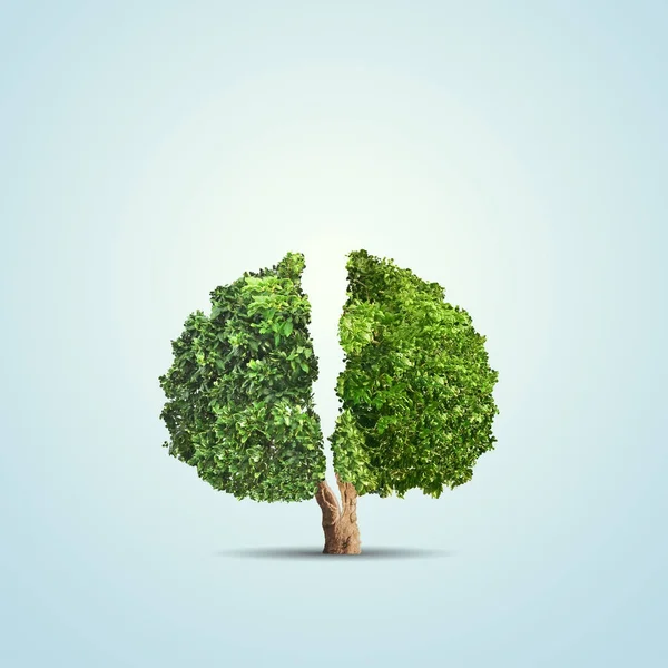 Das Konzeptbild der Ökologie. Baum umgeknickt. Umweltkonzept — Stockfoto