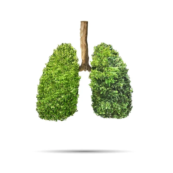 Green leaves shaped in human lungs. Conceptual image — Stock Photo, Image