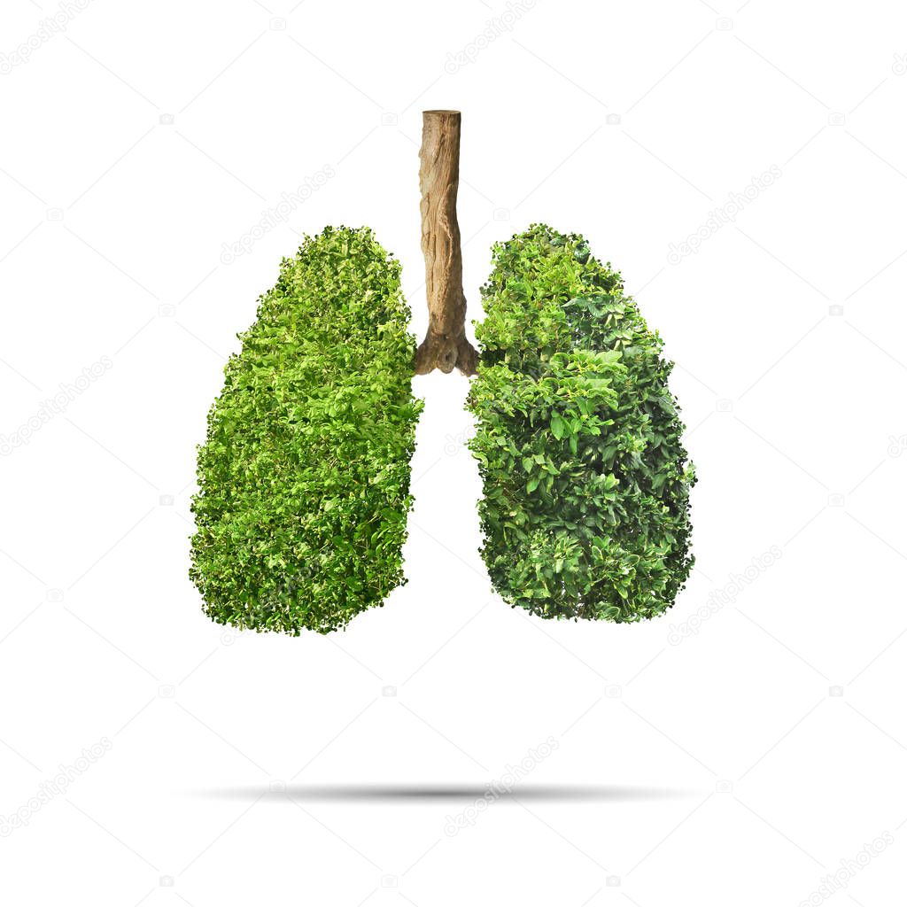 Green leaves shaped in human lungs. Conceptual image