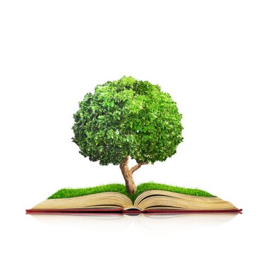 Açık bir kitap yeşil çim alan ve ağaç üzerinde mavi arka plan izole. Kavram görüntü
