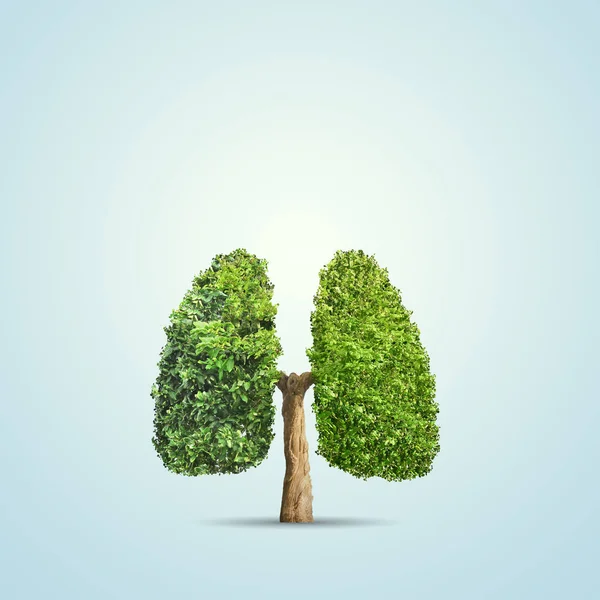 Groene boom gevormd in menselijke longen. Conceptuele afbeelding — Stockfoto